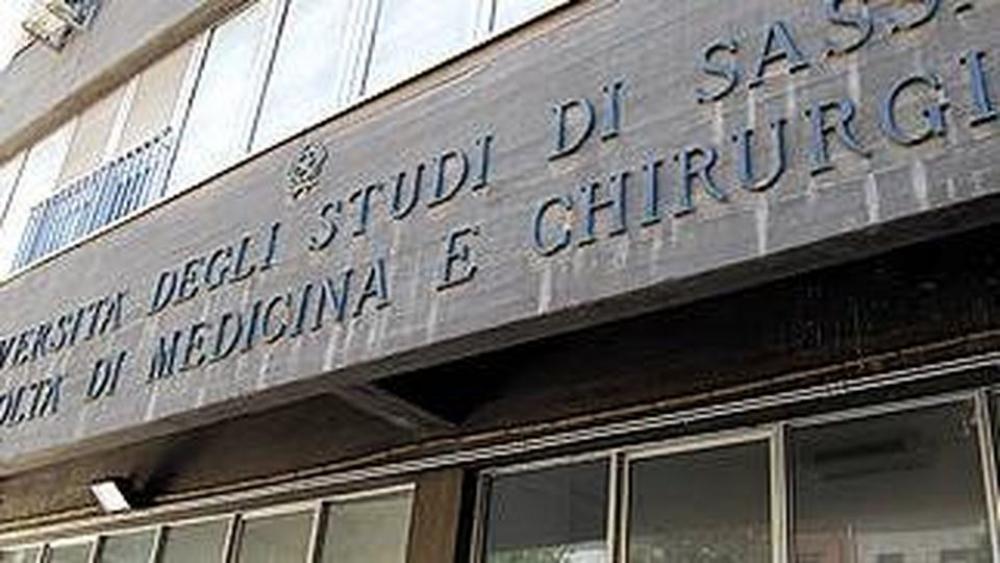Dalla Laurea On Line Alle Assunzioni Veloci In Piena Pandemia Ramona 
